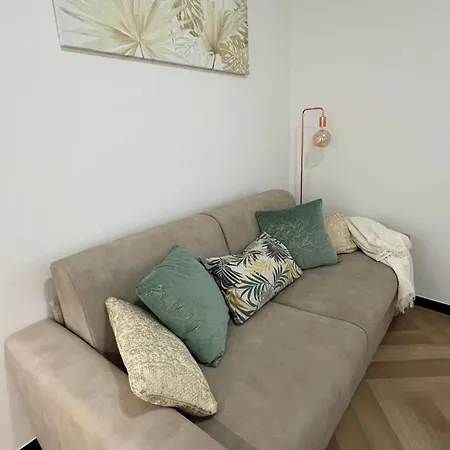 Paradise House - Oasis