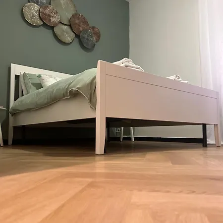 Paradise House - Oasis