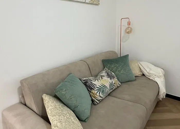 Paradise House - Oasis