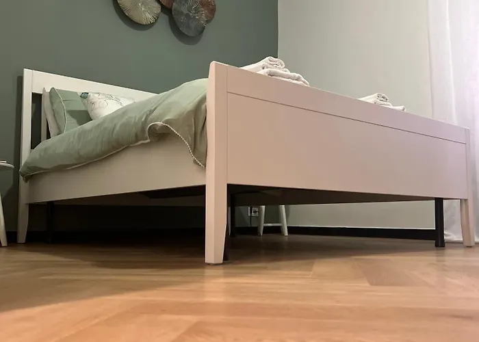 Paradise House - Oasis